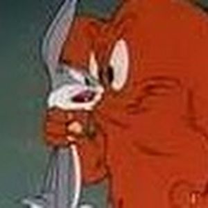 Meet your Posher, Ginger